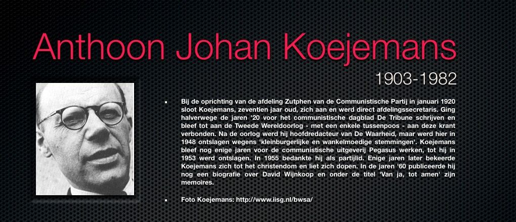 Archiefnaam Anthoon Johan Koejemans met zijn afbeelding en biografische nota